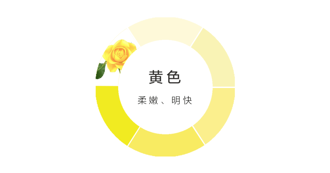 色中色app下载色中色app下载，探索色彩世界的便捷途径