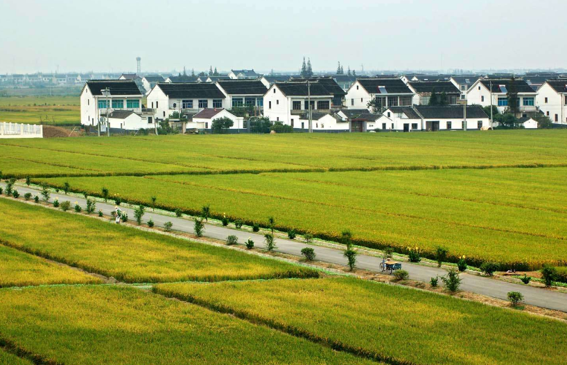 乡村同志乡村同志——那些年，我们共同走过的路-第3张图片