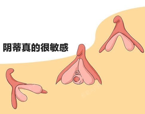 美女的尿口免费关于女性私密部位知识的探讨