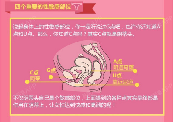 探索女性私密部位——大荫蒂的独特之处
