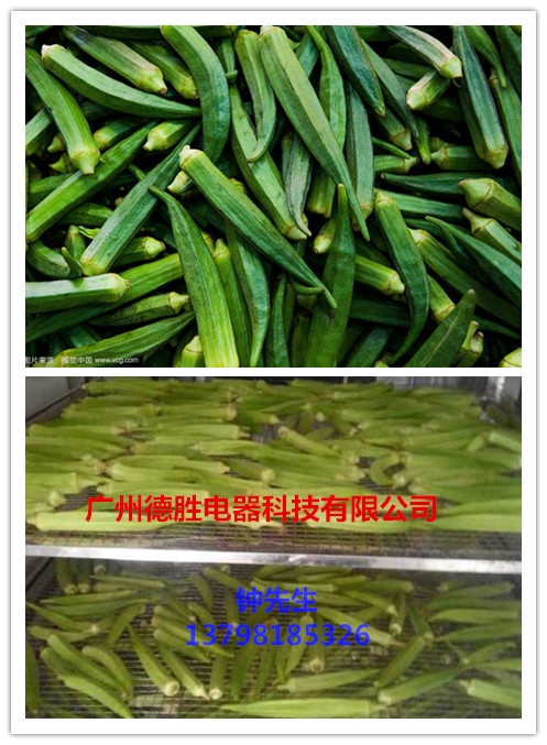 秋葵软件未满十八岁探索秋葵API，未满入内免费黑科技的力量