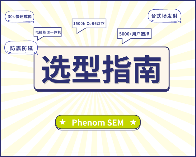 麻花传媒文化有限公司天美传媒有限公司，从成立到辉煌的历程-第2张图片