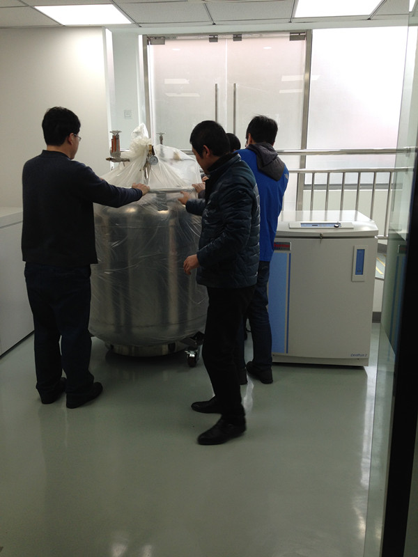 脱色摇床THERMO网站脱色摇床的革命性进步，在THERMO网站上的探索与发现