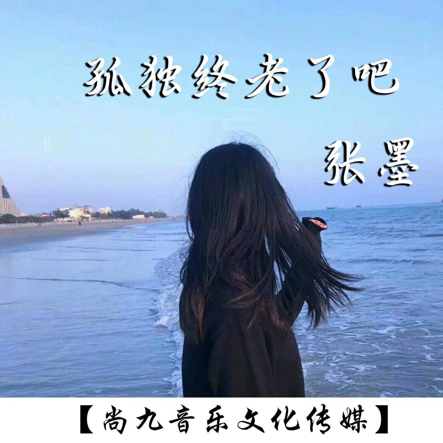 酷狗皮肤下载酷狗皮肤下载，打造你的专属音乐体验-第1张图片