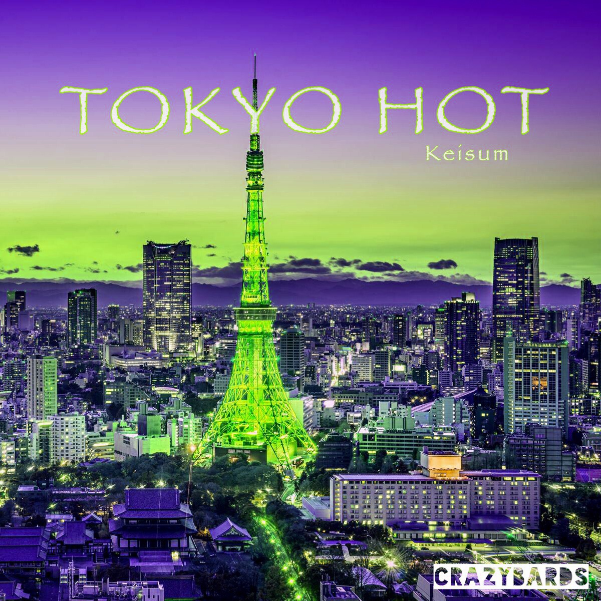 tokyo hot n0495探索Tokyo Hot的神秘世界，N0495的独特魅力-第3张图片
