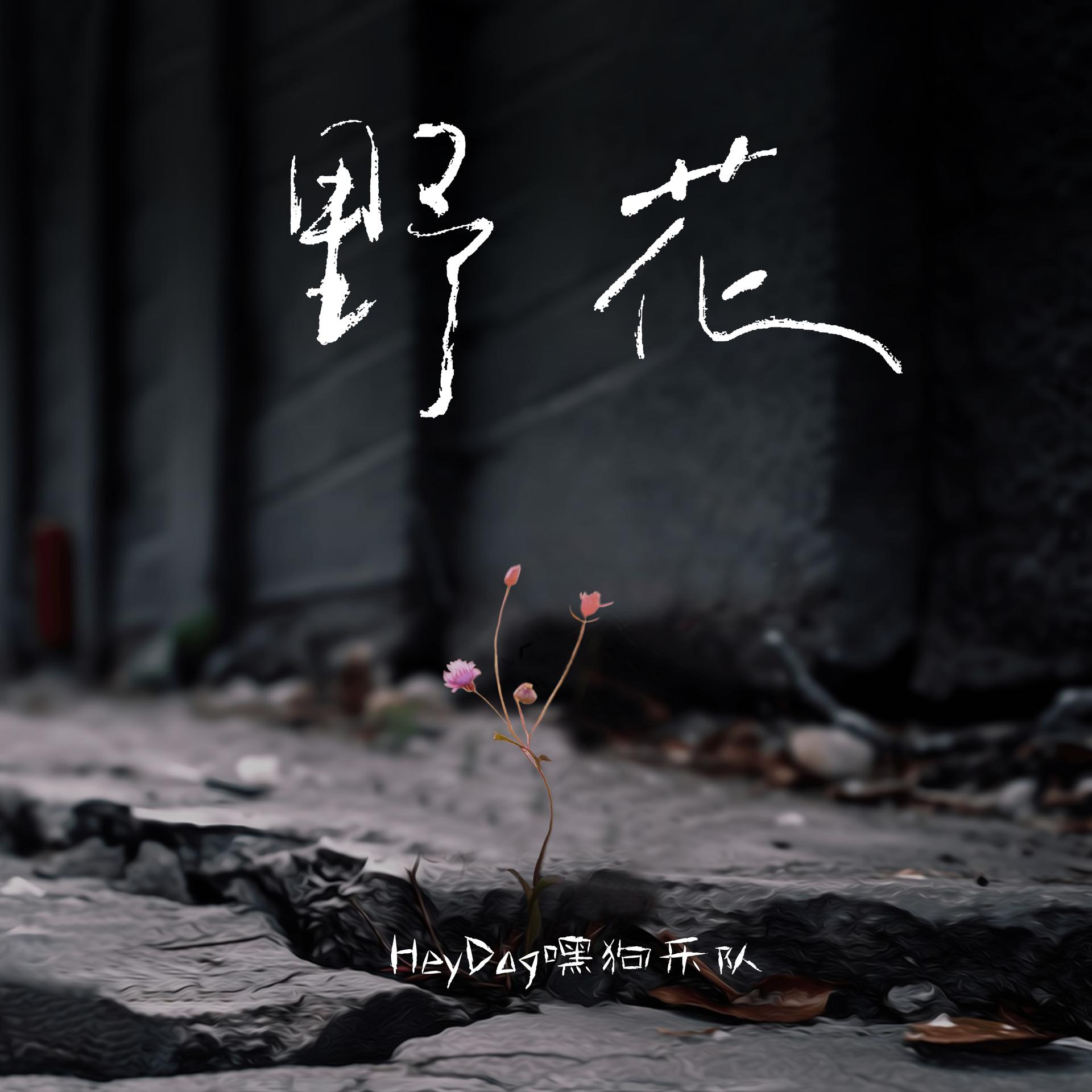 野花韩国视频在线观看免费高清版——探索韩国自然之美与文化魅力-第2张图片