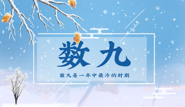 司马称好蚂蚁庄园司马称好与蚂蚁庄园的奇妙故事