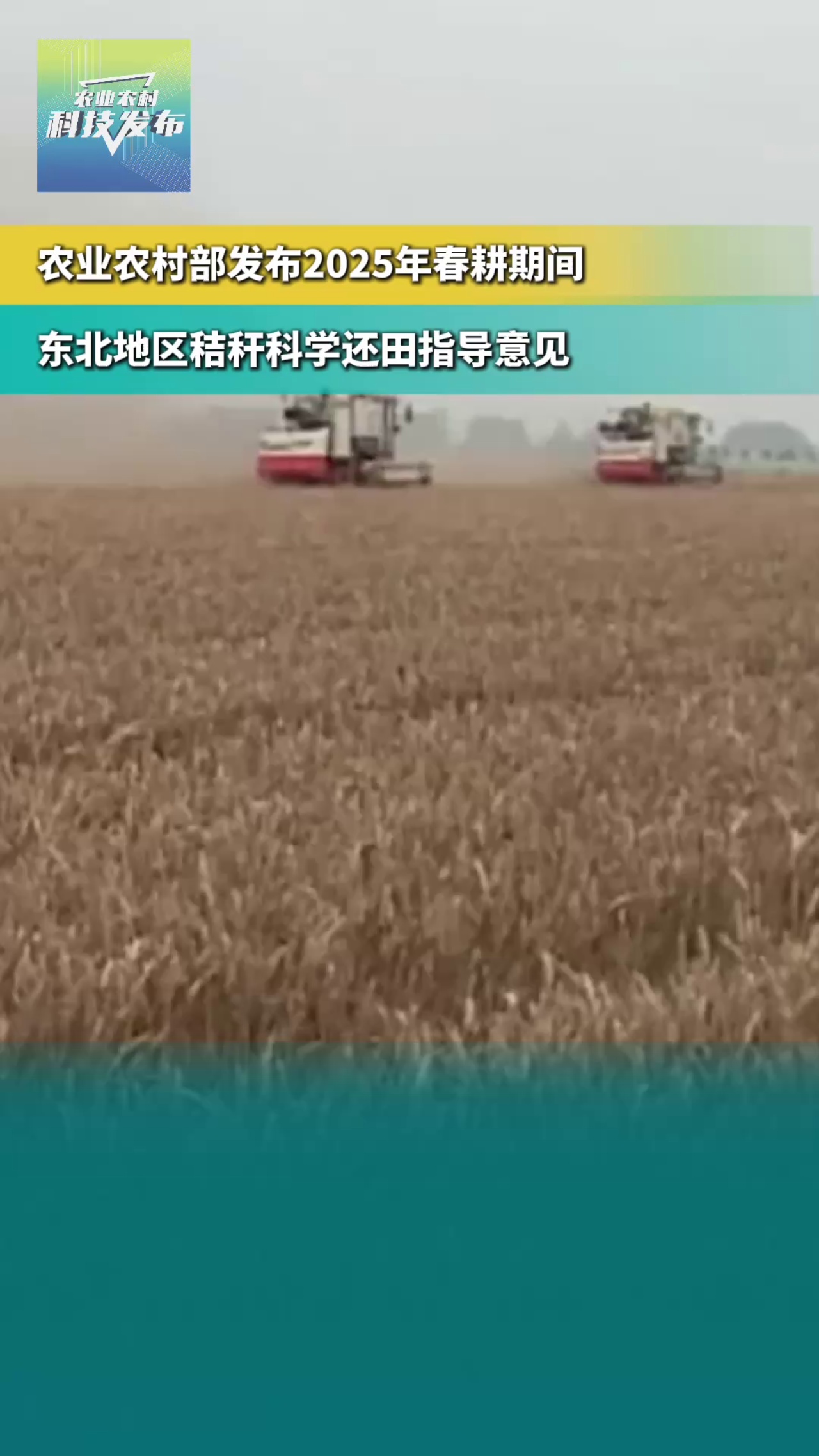 东北地区性交易对话的粗俗语言分析-第1张图片