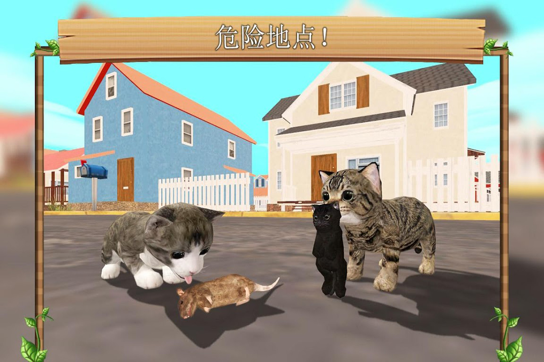 猫咪社区，高清视频在线观看的乐趣与体验-第2张图片