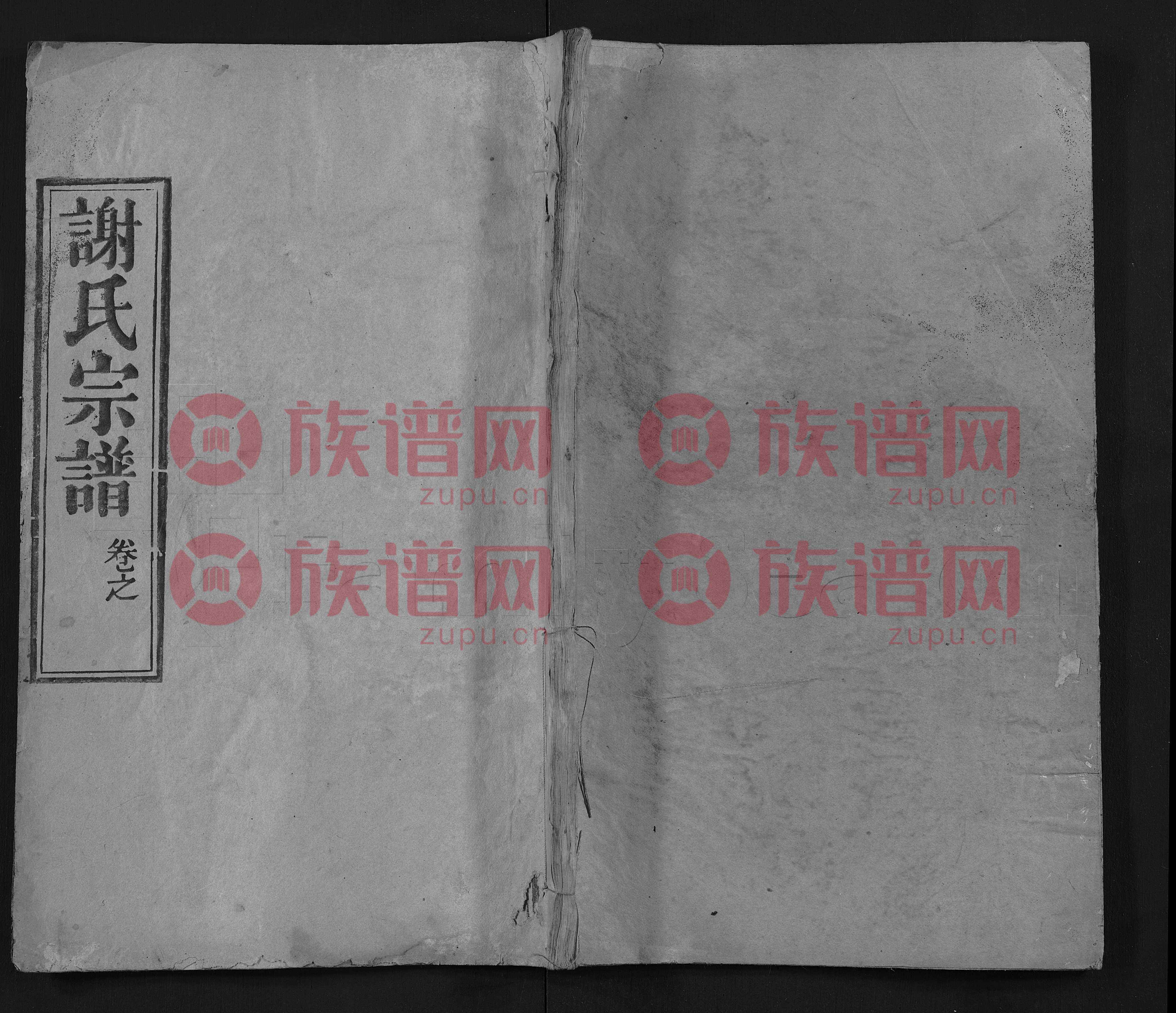 谢氏娇妻全文阅读谢氏娇妻的浪漫之旅，NPH的温馨故事-第1张图片