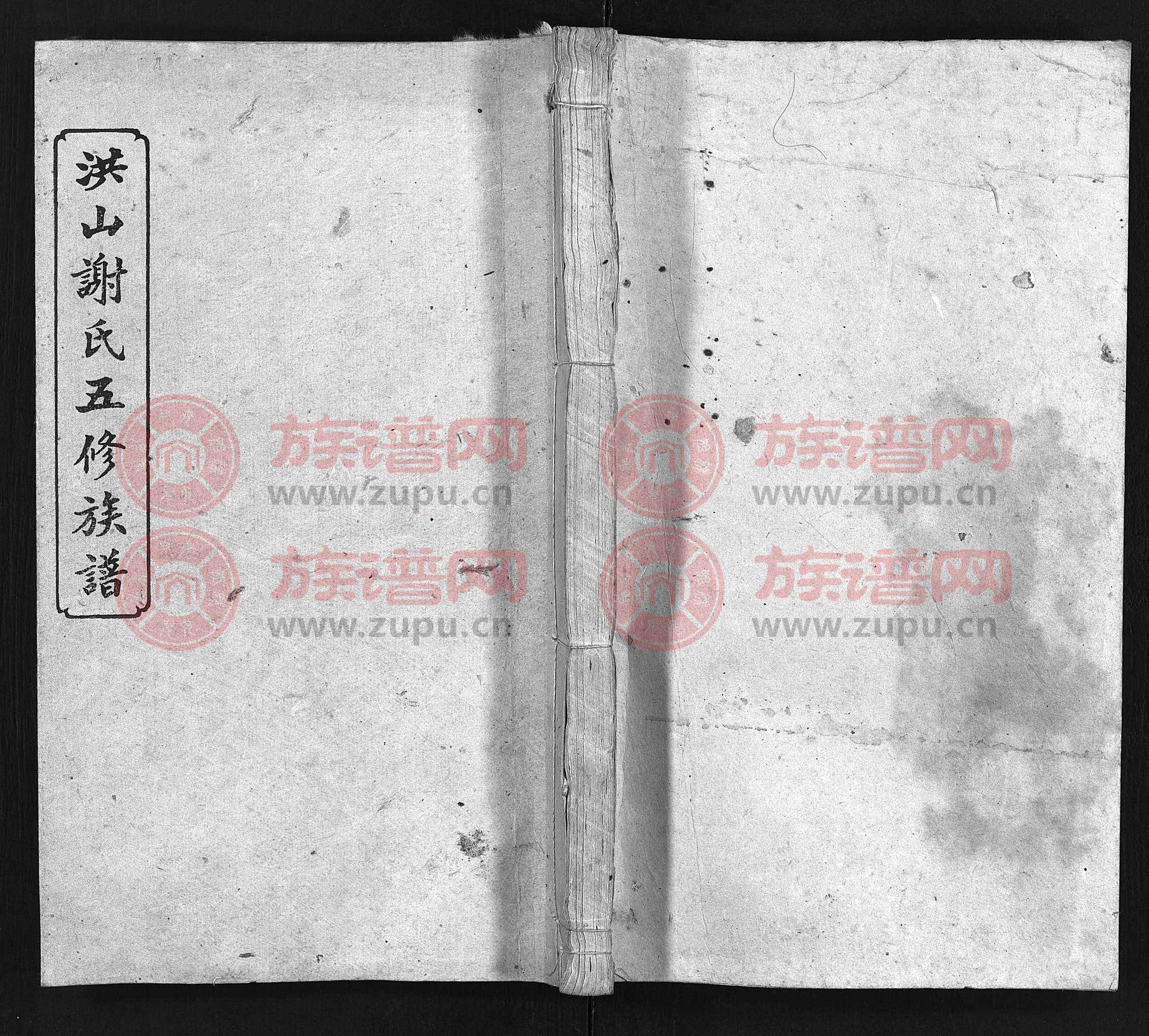 谢氏娇妻NPH谢氏娇妻的浪漫之旅——NPH的独特魅力-第2张图片