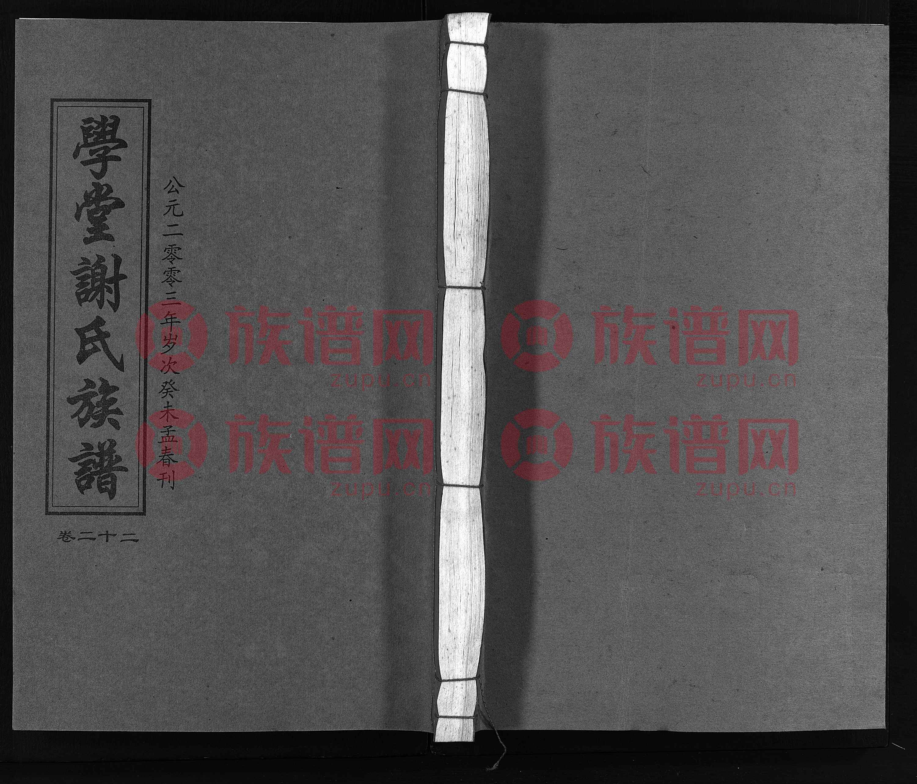 谢氏娇妻 小说谢氏娇妻的浪漫之旅，NPH的独特魅力-第2张图片