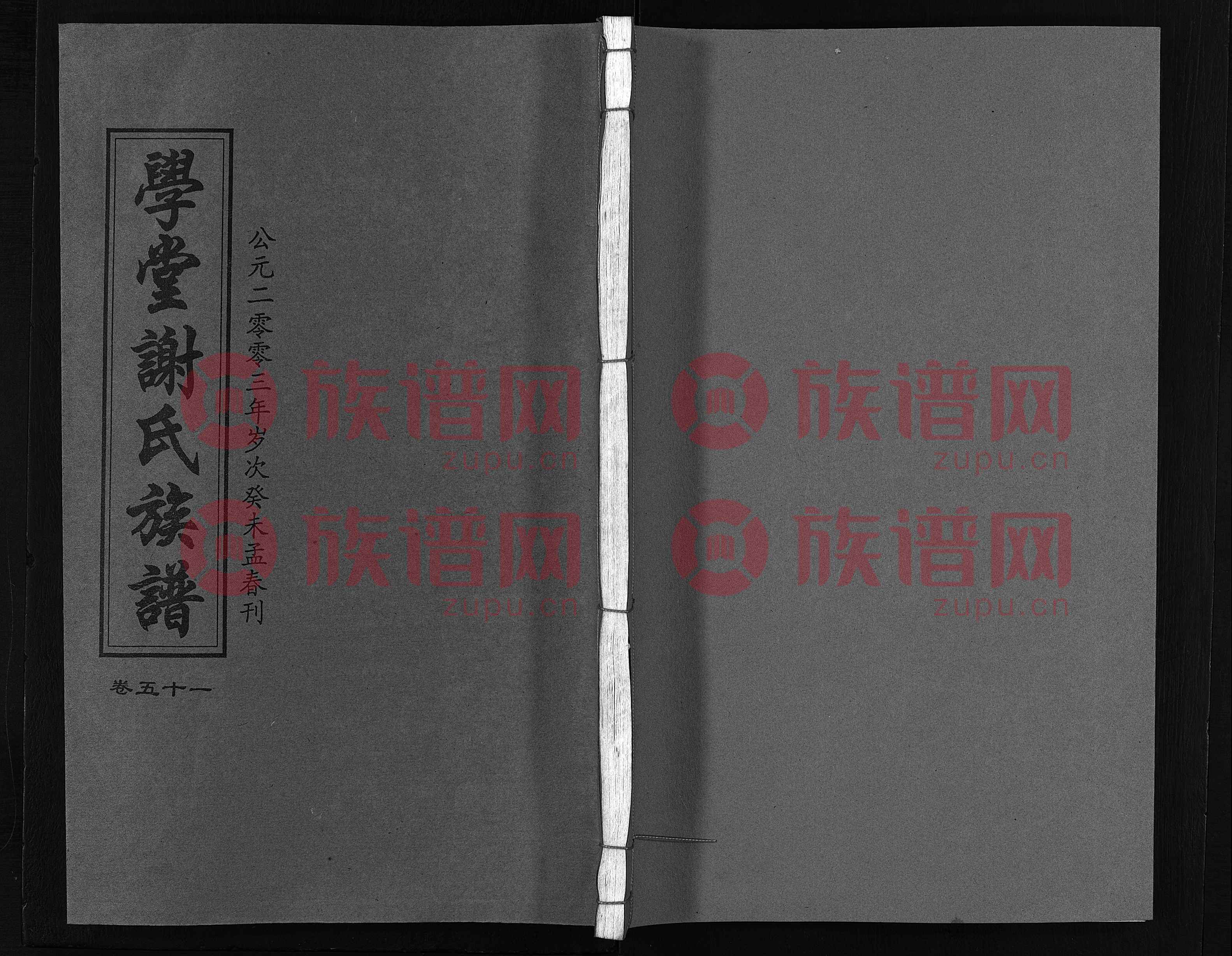 谢氏娇妻 小说谢氏娇妻的浪漫之旅，NPH的独特魅力