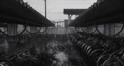 雨后的小故事 动态图片雨后的小故事——动态图片中的温暖瞬间-第2张图片