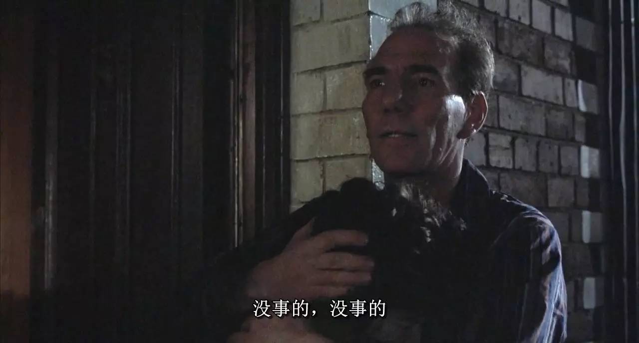 EEUSS影院，免费观看最精彩电影的绝佳选择