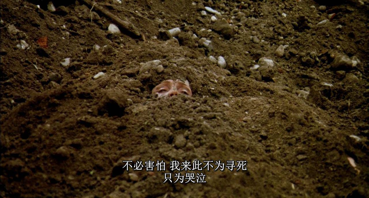 最新a片最新A片，了解与探讨-第1张图片