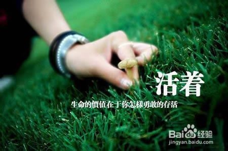 探索幸福宝视频app，现代生活中的幸福密码