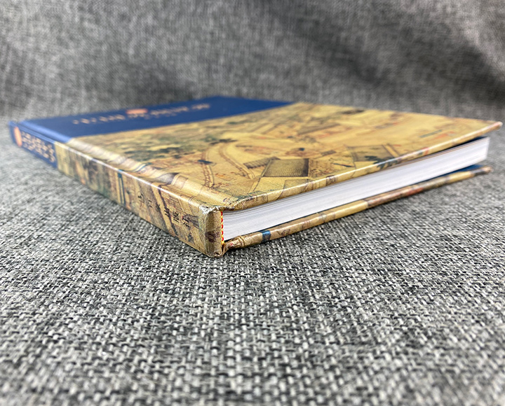 深入浅出作者小说深入浅出解析TXl金银花的奥秘