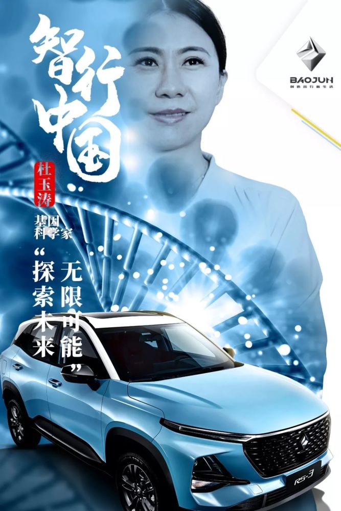 1000视频在线播放，探索无限可能