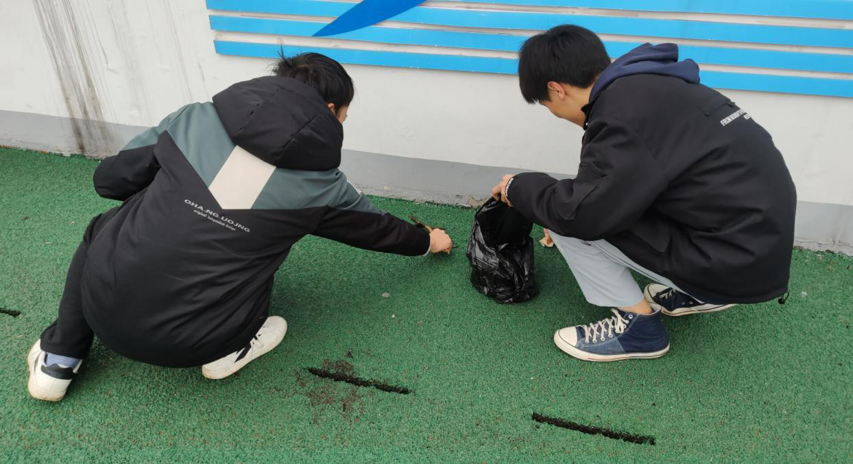大学生生活指北——全面解析校园生活的方方面面-第1张图片