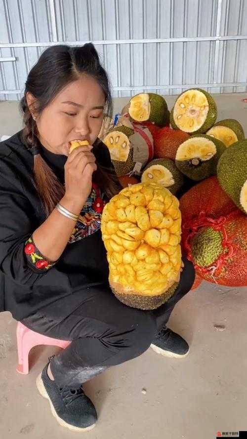 菠萝蜜菠萝蜜菠萝蜜视频免费探索菠萝蜜的魅力，免费视频分享与体验
