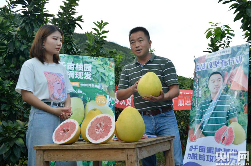 蜜柚直播软件app下载安装最新版蜜柚直播软件app下载安装指南-第2张图片