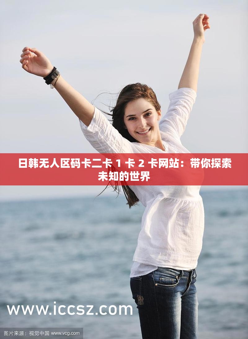 无人区码二码三码四码区别大吗无人区码二码三码四码，深度解析其区别与用途-第2张图片