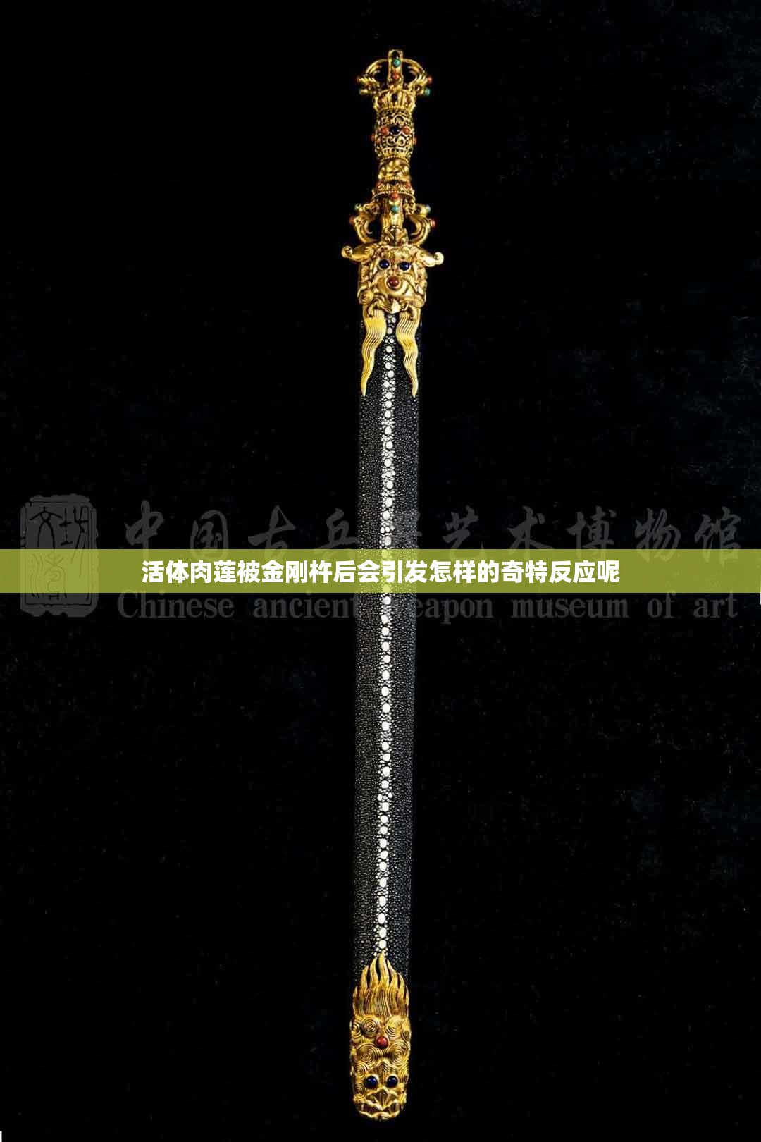 肉莲法器真实存在吗图片肉莲法器，真实存在之谜