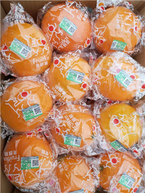 97国产精华最好的产品97国产精华，最好的产品之选-第2张图片