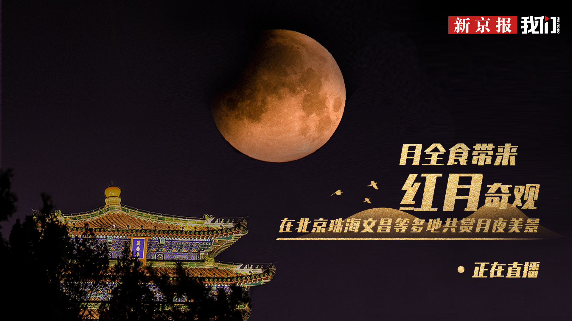 月夜直播视频免费观看月夜直播，免费观看视频的奇妙体验