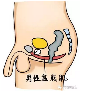 男生的肌肌放在女生的肌肌里面操探索身体之间的和谐——男生与女生之间的独特体验