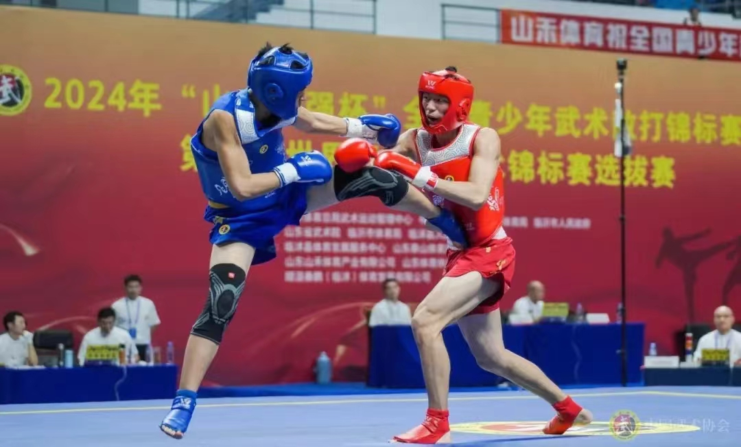 散打加点散打加点，武术之魂的独特魅力
