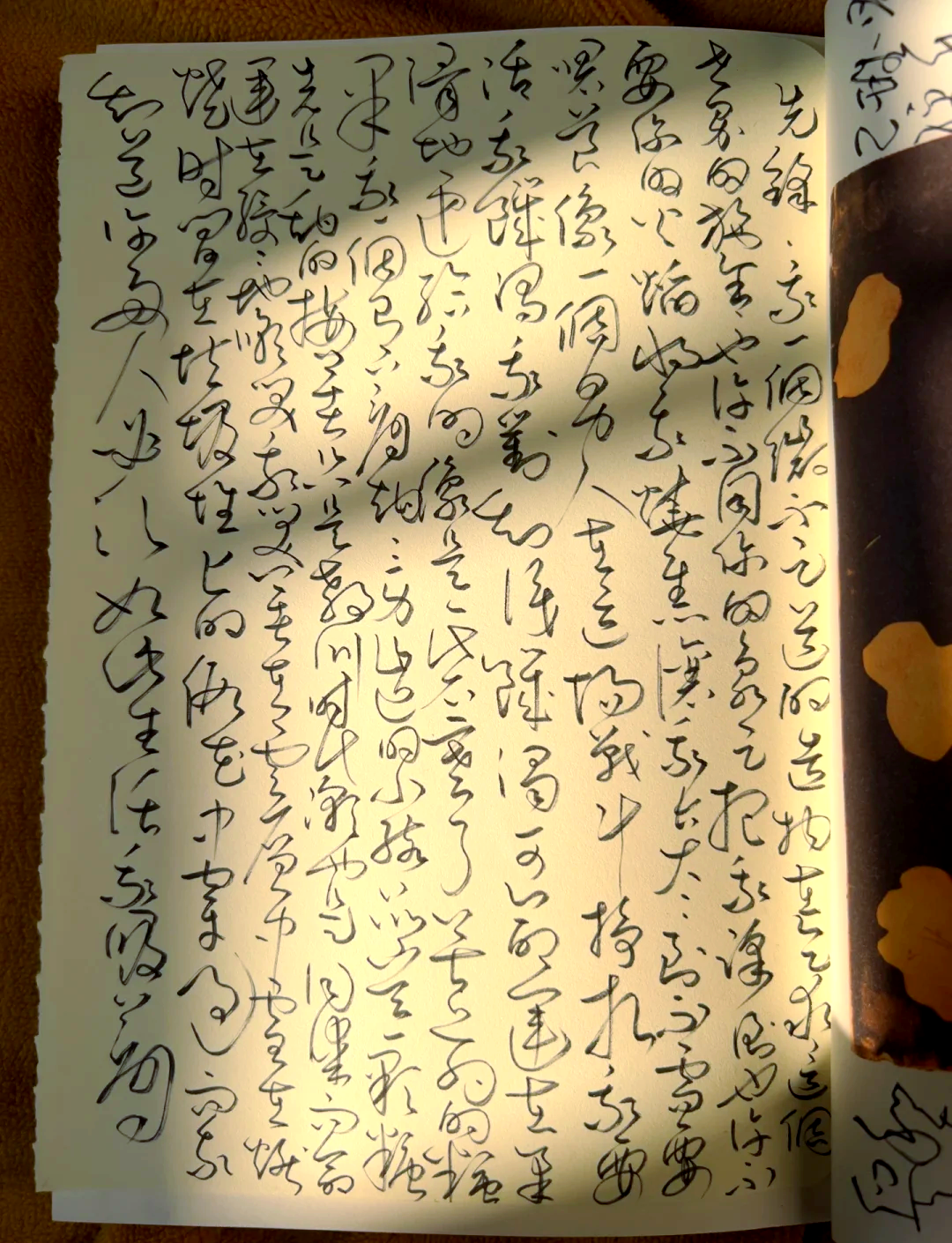 叶桐叶桐，一个坚韧与智慧并存的成长故事