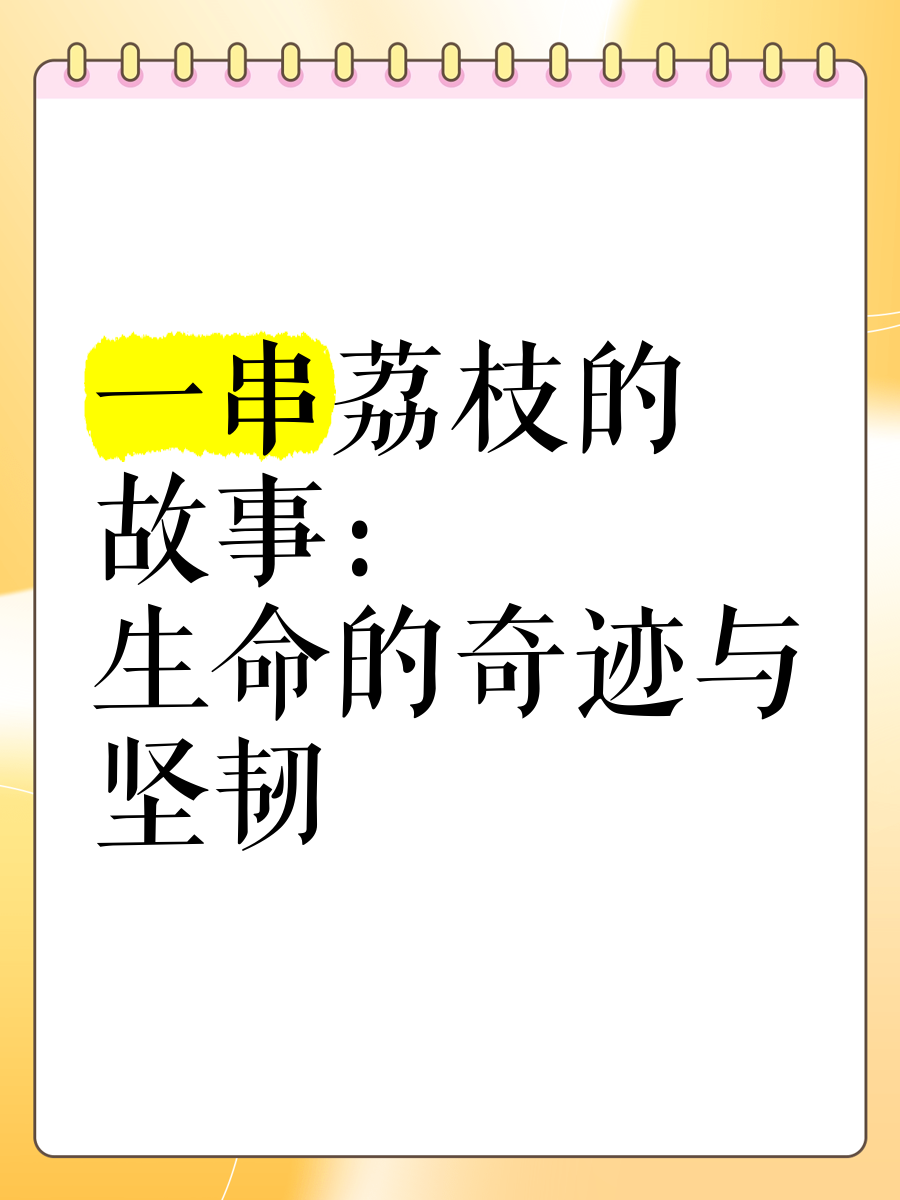 已经塞了八颗荔枝了窦寇儿窦寇儿与荔枝的奇妙故事