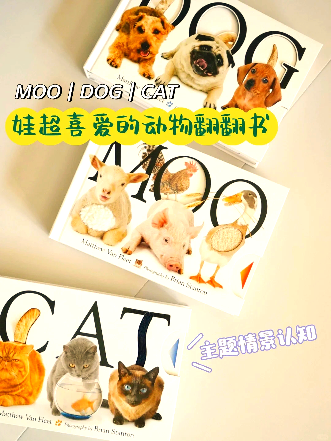 小东西的奇妙世界——探索爱的互动与体验