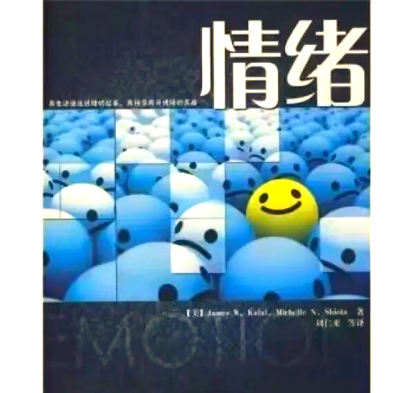 探索网络世界中的性欲网现象