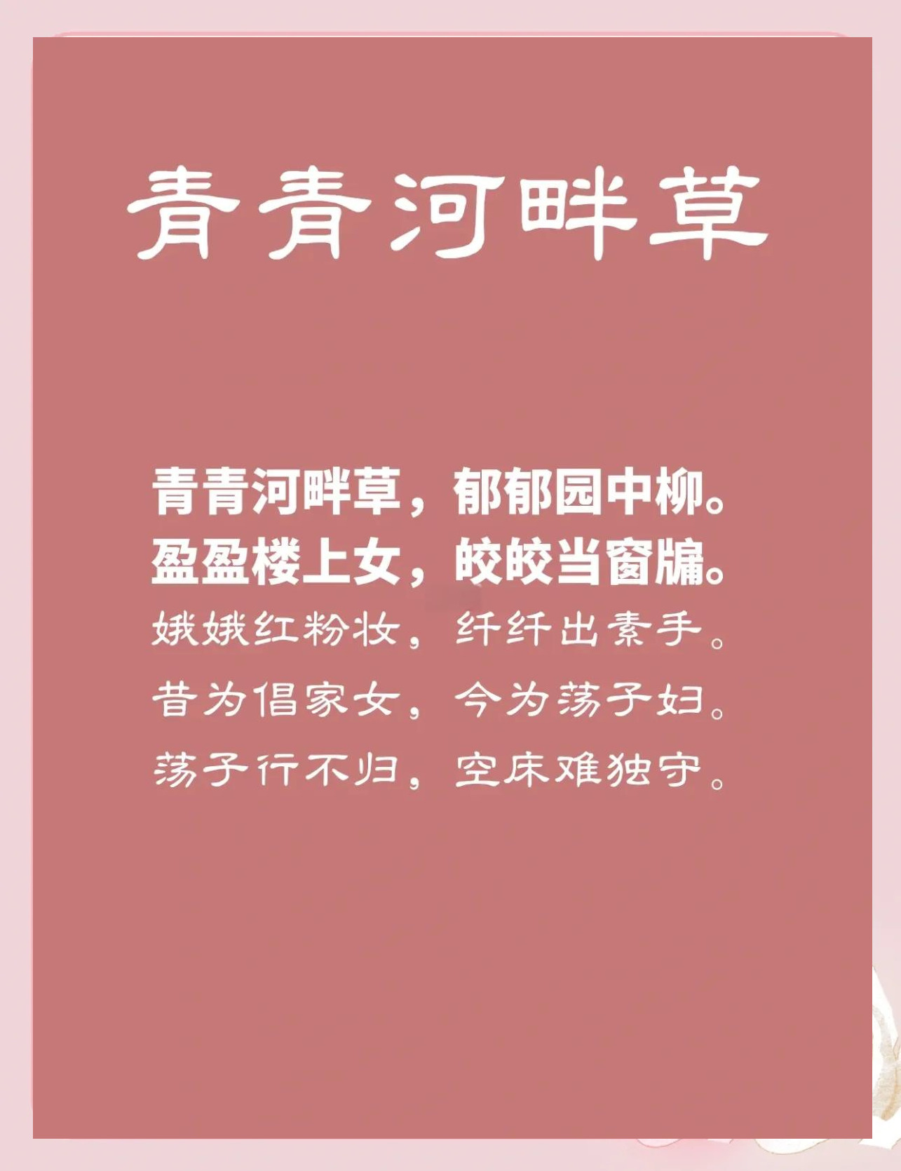 青青河边草免费观看6青青河边草，免费观看指南-第2张图片