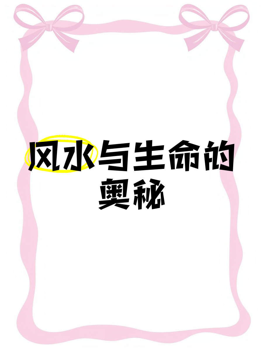 DNF生命之息，探索其奥秘与价值
