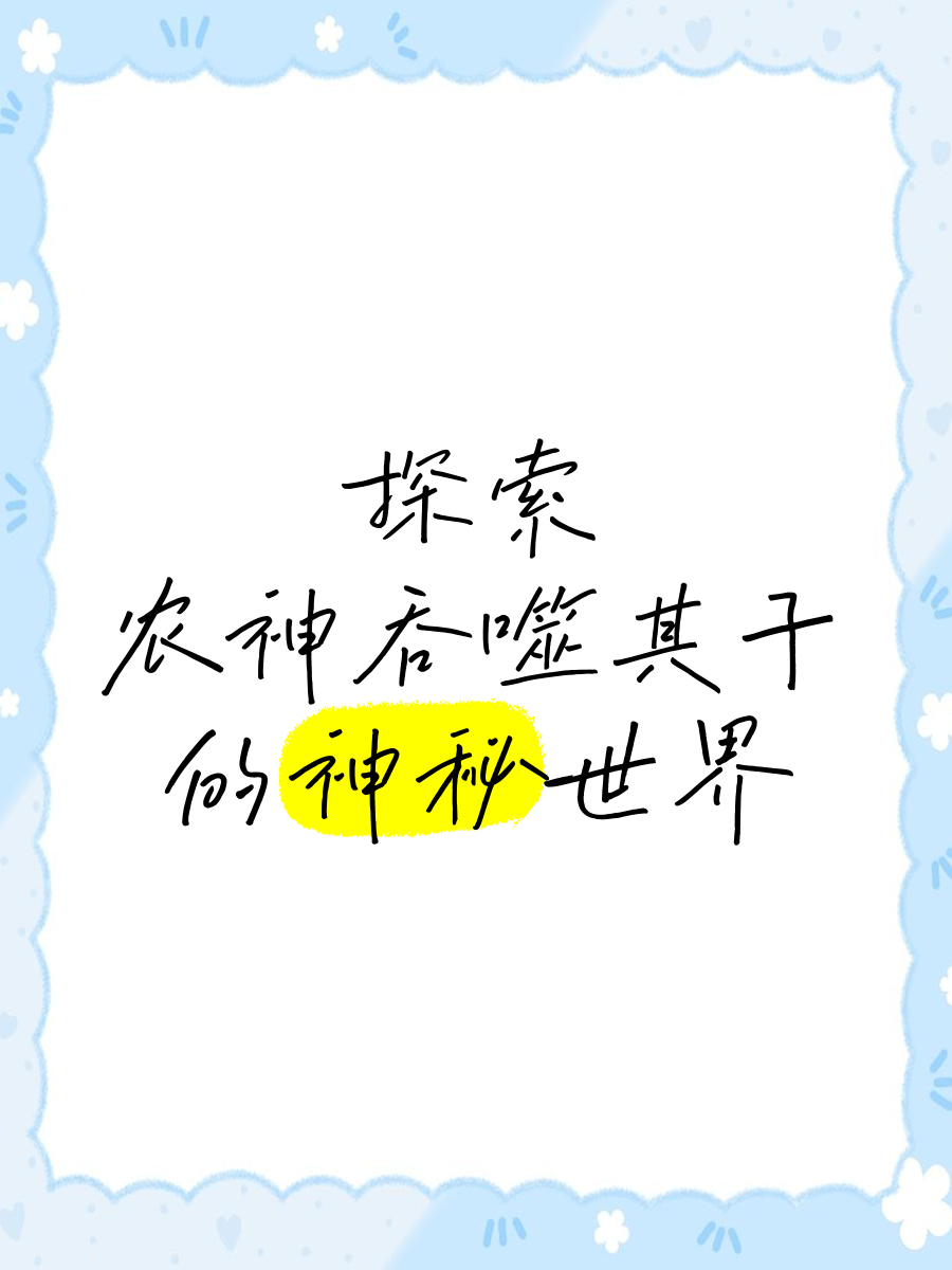 探索ZZTT155的神秘世界，CCM黑料太阳的深度解析-第3张图片