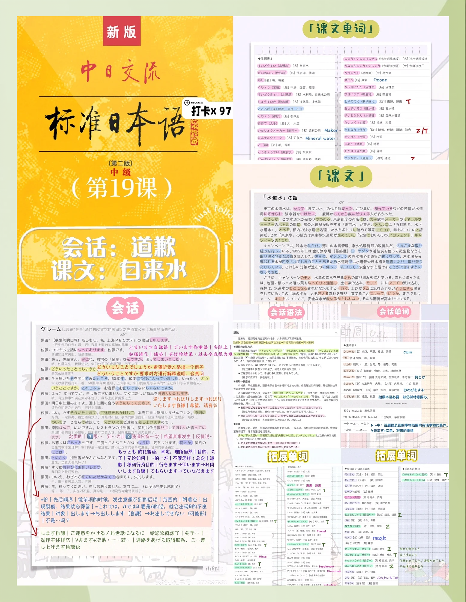 十九岁日本大全十九岁日本文化与风俗的全面探索-第2张图片