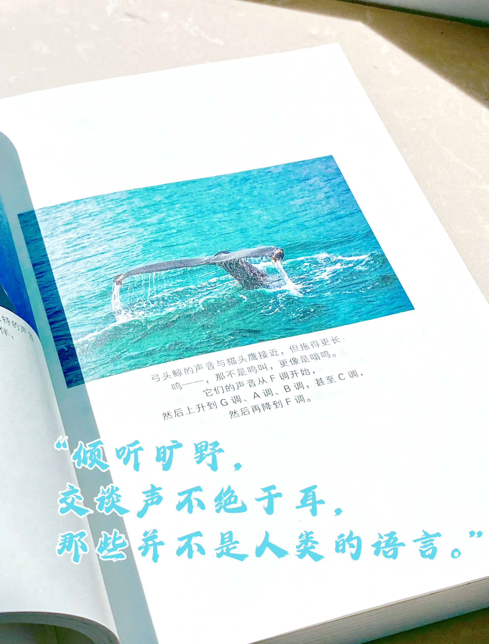 探索身体与声音的奇妙交融——体验把跳D放里面叫出声音-第2张图片