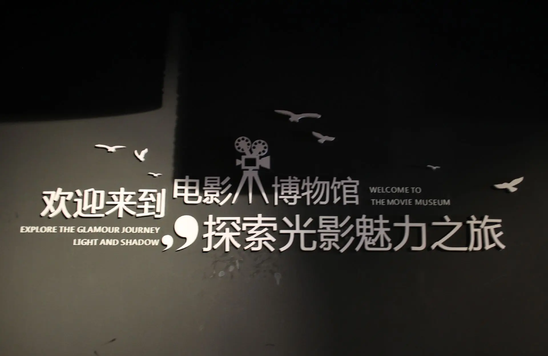 影视宝库影视宝库，光影世界的无尽宝藏