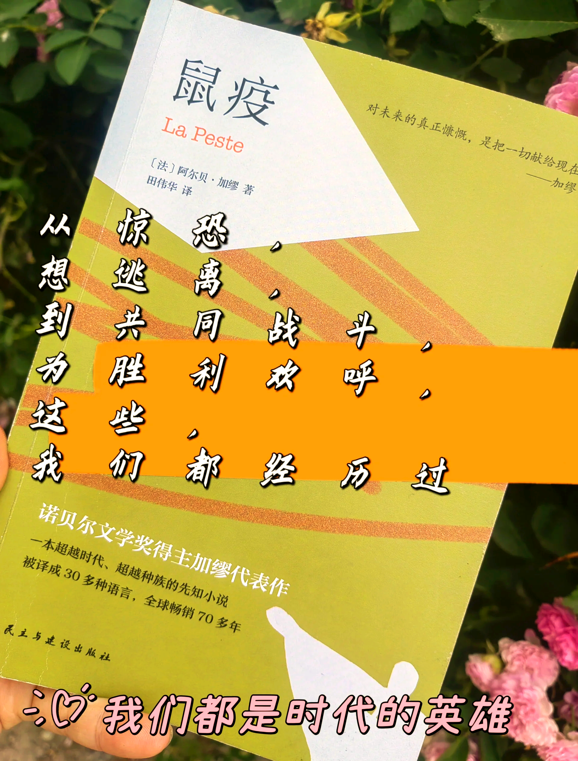 末世鼠疫末世鼠疫，人类生存的挑战与思考-第3张图片