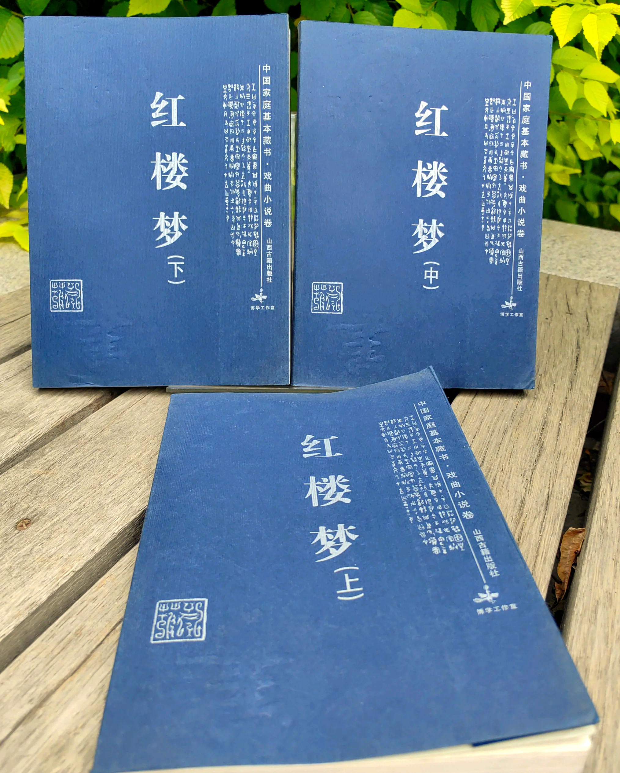 红楼梦后面40回是谁写的红楼梦中的H，一部文学巨著的深度解读-第3张图片
