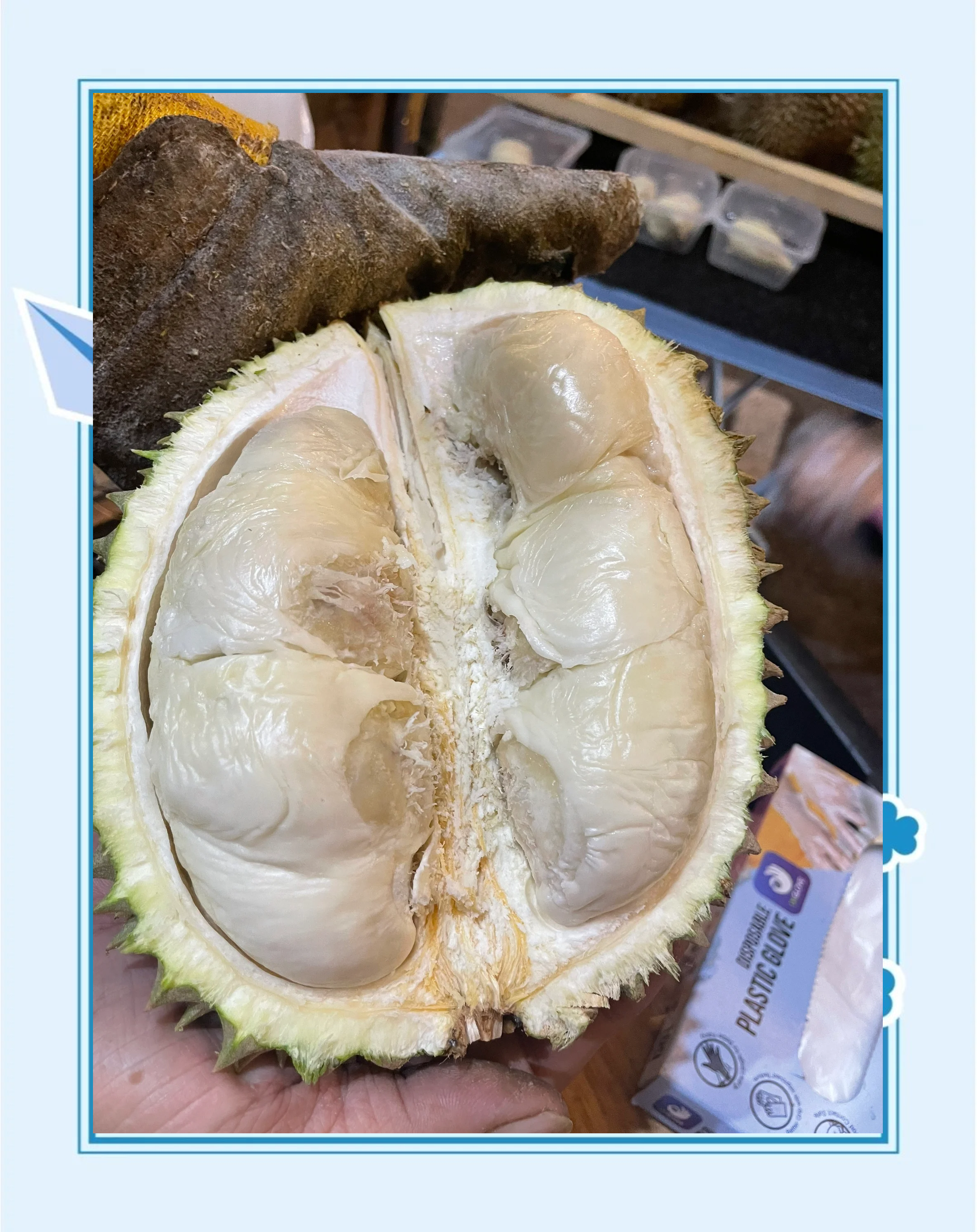 午夜刺激黄瓜西瓜葡萄榴莲蘑菇tv午夜美食之旅，探索黄瓜、西瓜、葡萄与榴莲的独特魅力