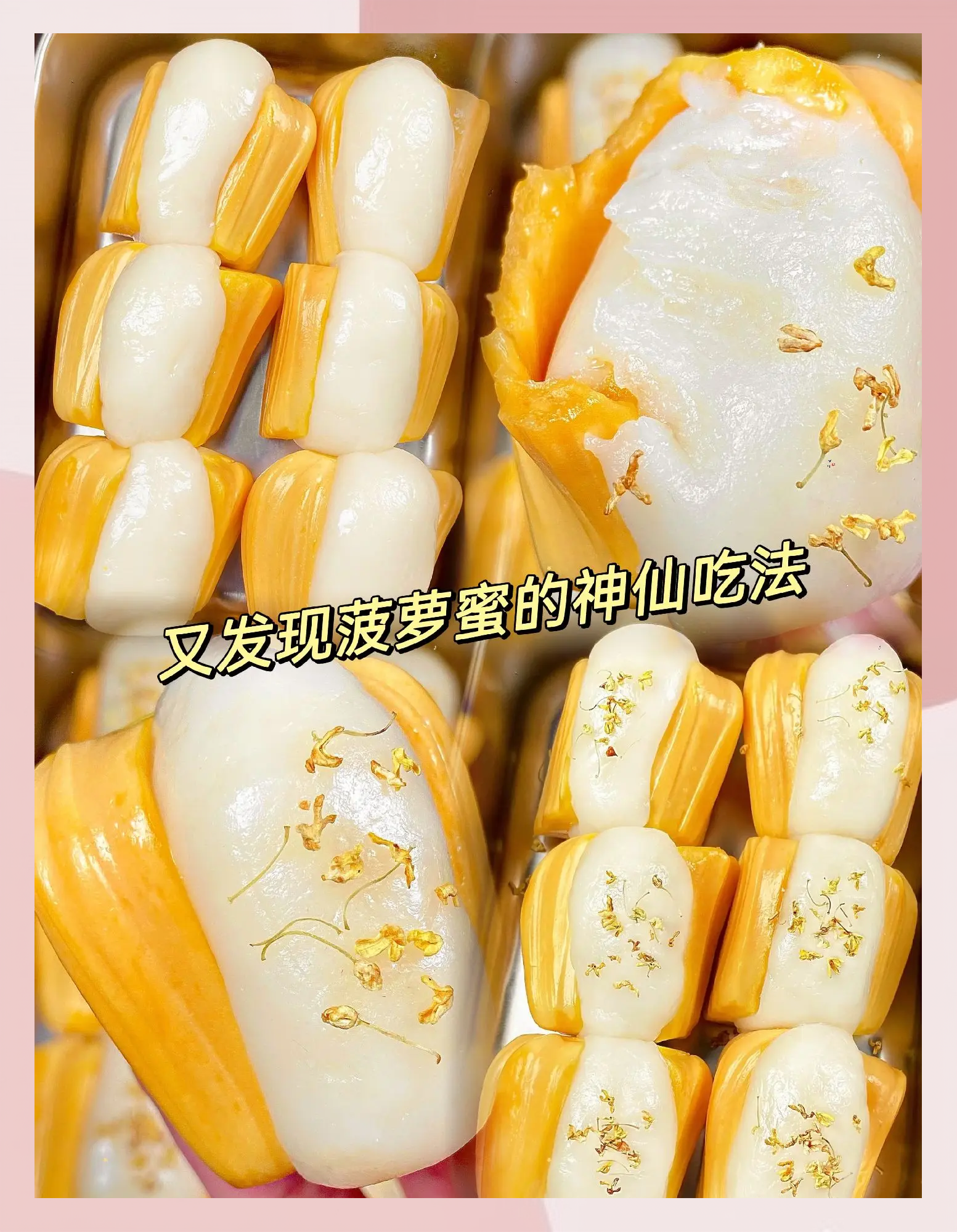 菠萝蜜麻豆一区探索菠萝蜜与麻豆一区的神秘之旅-第3张图片