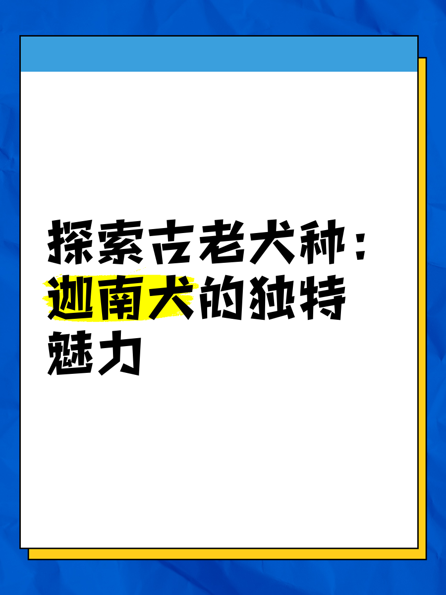 探索精品乱子伦的魅力，一区、二区、三区的独特之处-第2张图片