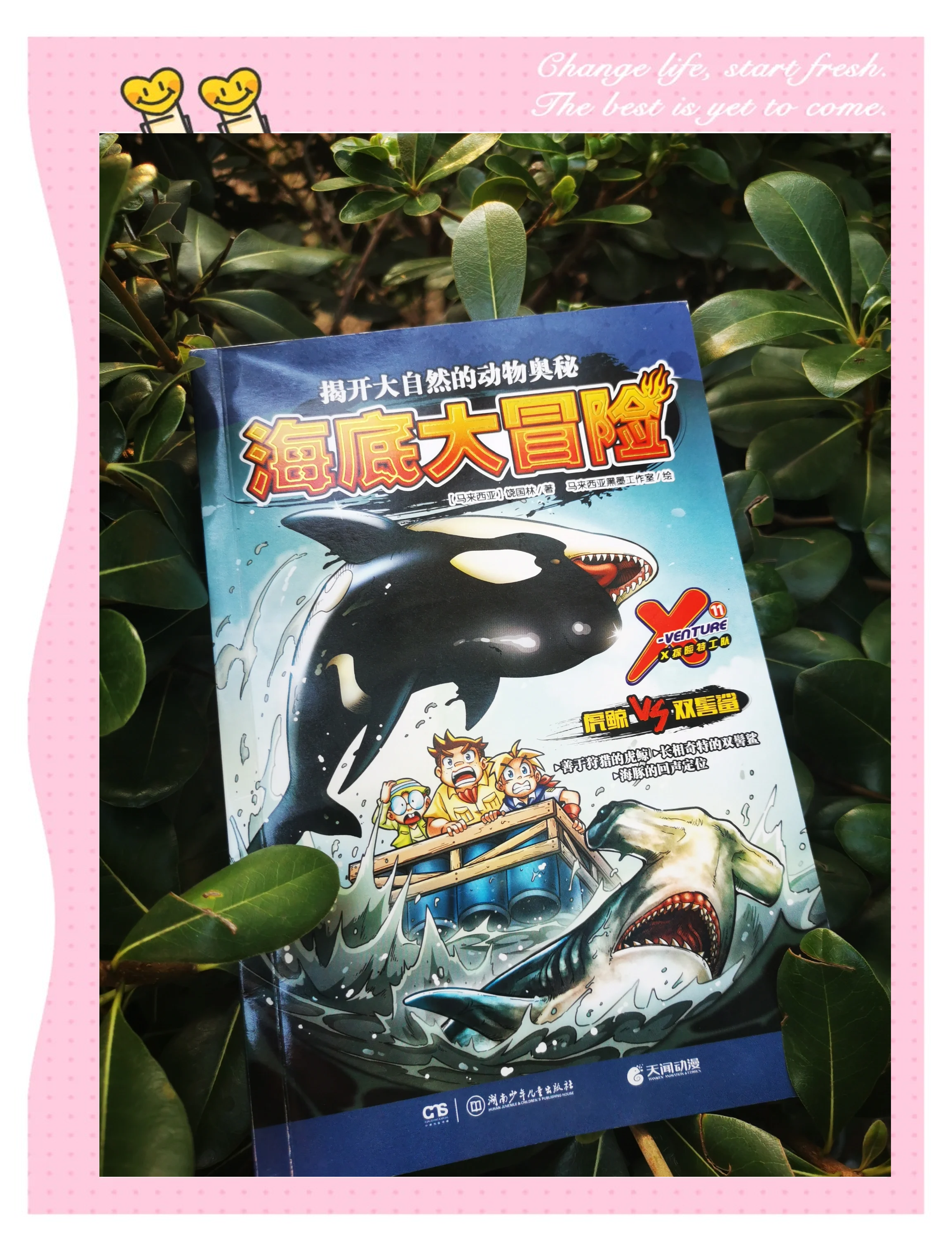 探索X的动漫世界