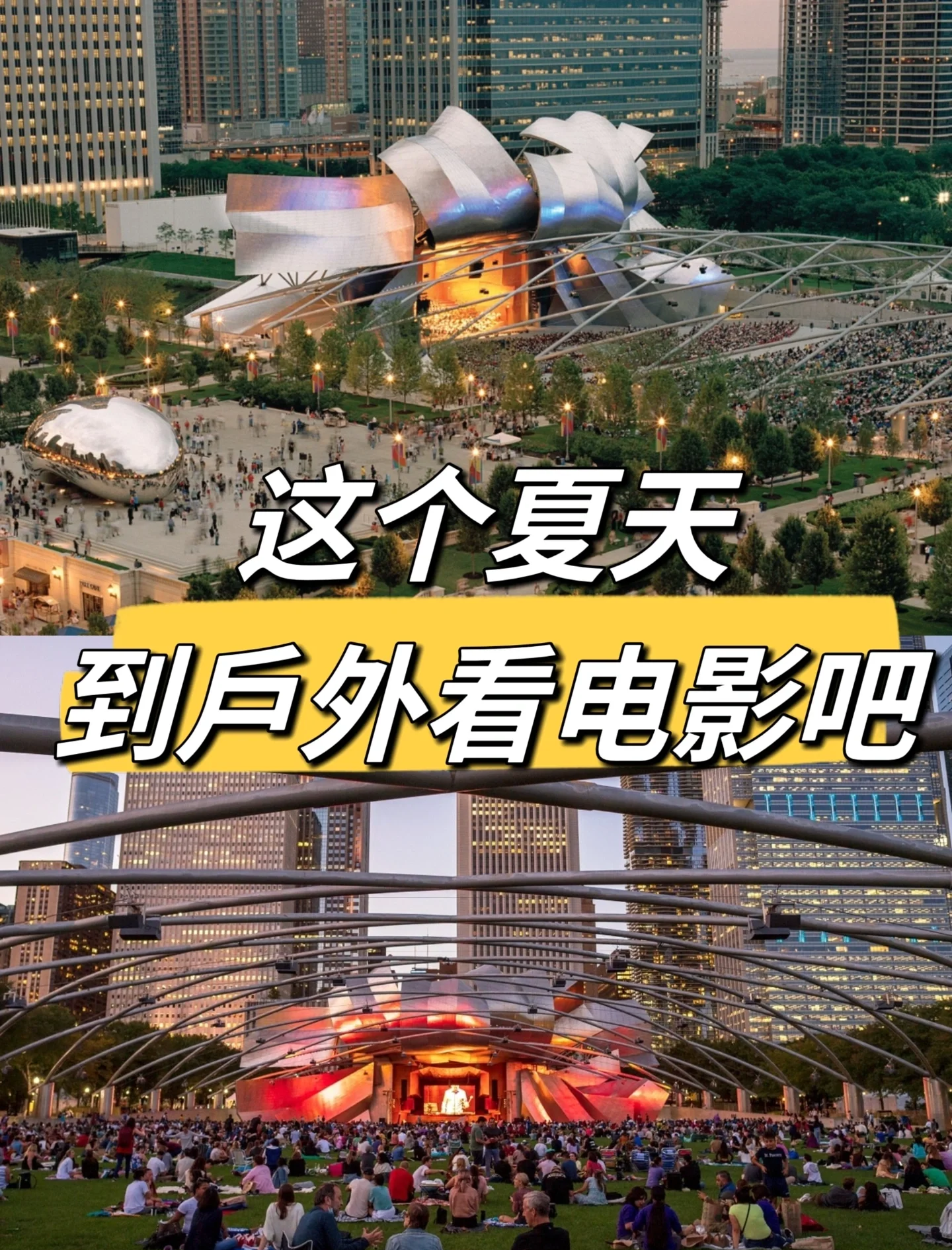 3gp电影网，电影爱好者的首选在线平台