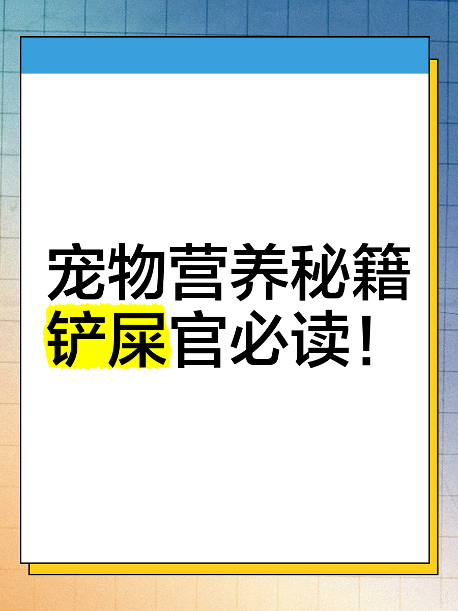 宠物Online数据宠物online，连接人与宠物的数字桥梁-第3张图片